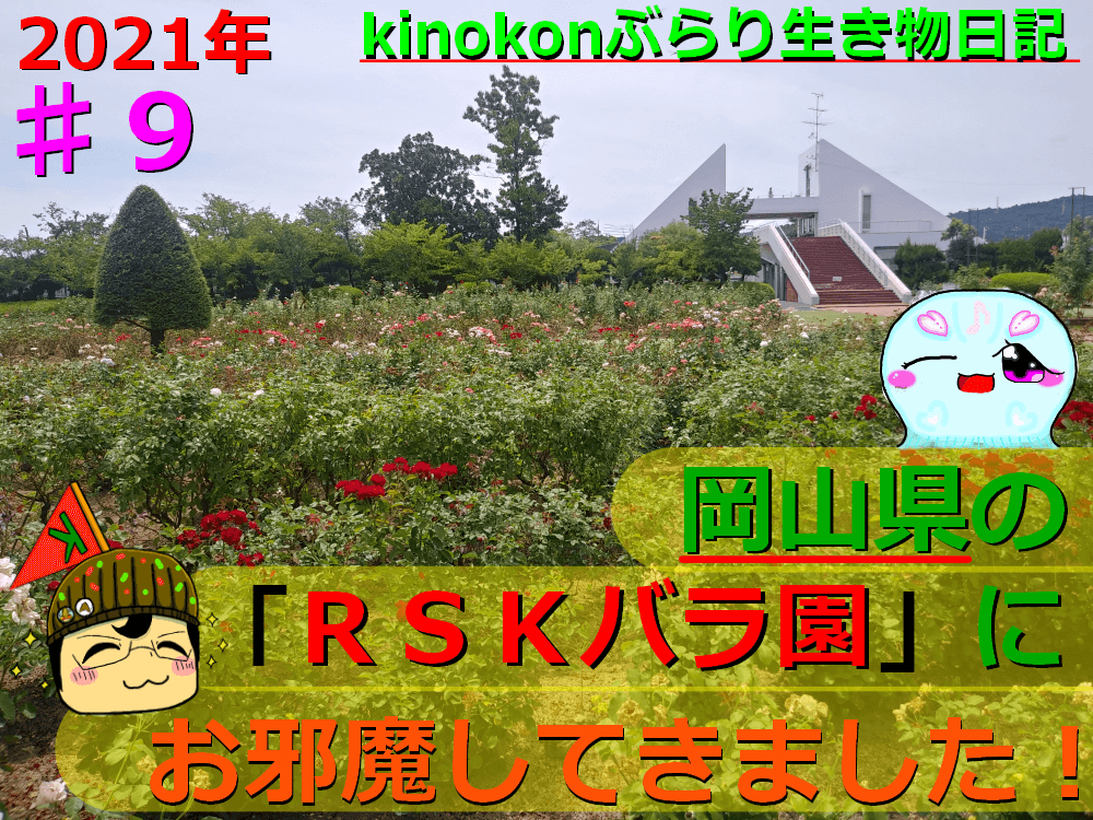 Thumbnail of post image 087